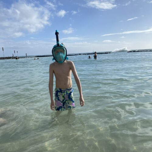 A boy in a bathing suit standing in knee deep water with a blue snorkel mask on